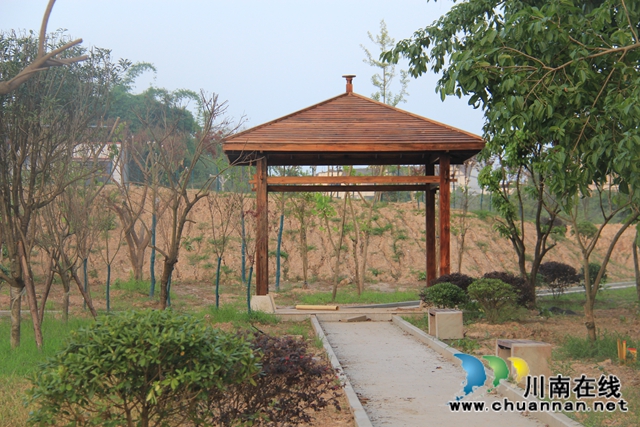 翹首期盼，瀘縣云龍健康公園建設(shè)進入倒計時(圖4)