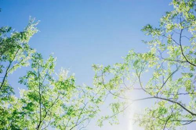 【夏至】身體濕氣重，如何防治？