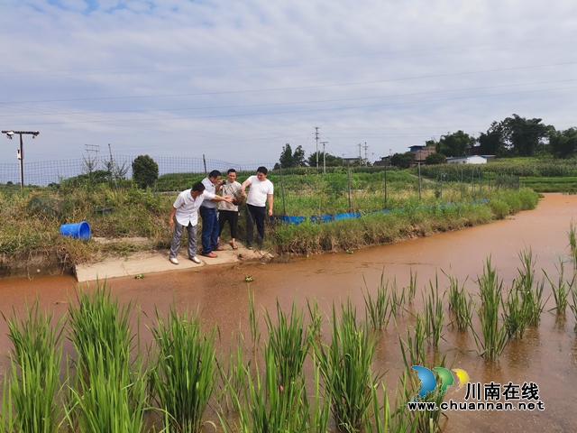 瀘縣兆雅鎮(zhèn)：駐村工作隊(duì)精準(zhǔn)施策 型家村脫貧產(chǎn)業(yè)開(kāi)花結(jié)果(圖3)