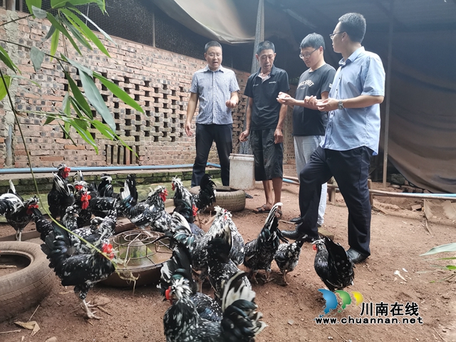 扶上馬送一程 瀘縣福集鎮(zhèn)清華村駐村工作隊的扶貧經(jīng)(圖5)