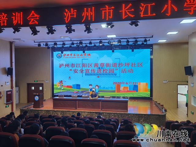 江陽(yáng)區(qū)茜草街道沙坪社區(qū)開展“安全宣傳進(jìn)校園·筑牢校園安全墻”(圖2)
