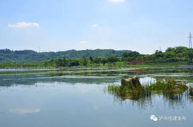 山水如畫！瀘州漁子溪生態(tài)公園下月驗(yàn)收！(圖1)