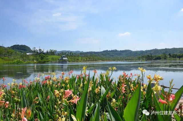 山水如畫！瀘州漁子溪生態(tài)公園下月驗(yàn)收！(圖2)