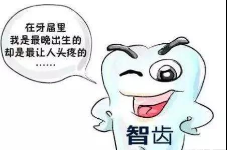 【擴(kuò)散】智齒，到底該不該拔？(圖2)