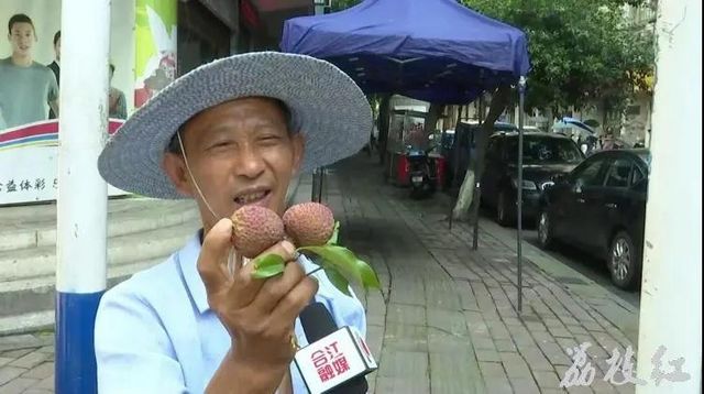 【荔枝紅了】合江荔枝開始上市了！(圖6)