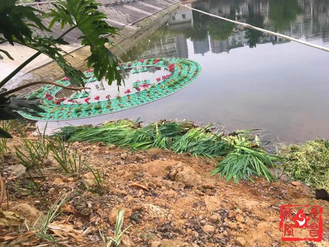 隆昌：昔日水庫“變”公園！你還認識它嗎？(圖6)