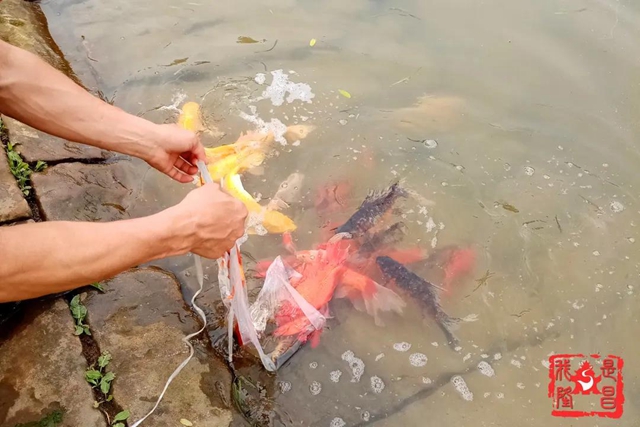 隆昌：昔日水庫“變”公園！你還認識它嗎？(圖7)