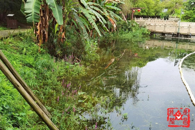 隆昌：昔日水庫“變”公園！你還認識它嗎？(圖3)