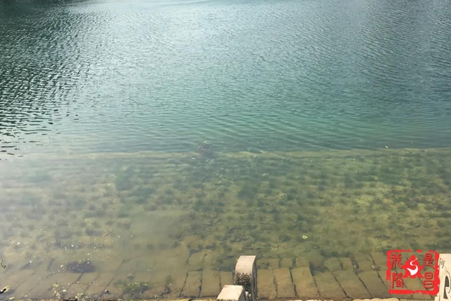 隆昌：昔日水庫“變”公園！你還認識它嗎？(圖8)