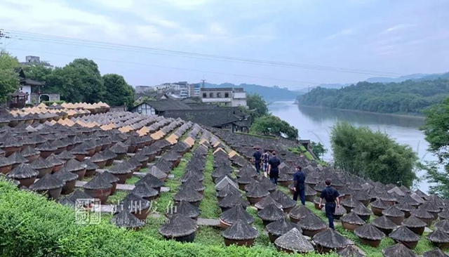 合江、隆昌、翠屏區(qū)入選成渝地區(qū)雙城經(jīng)濟(jì)圈建設(shè)縣域集成改革首批試點(diǎn)名單(圖4)