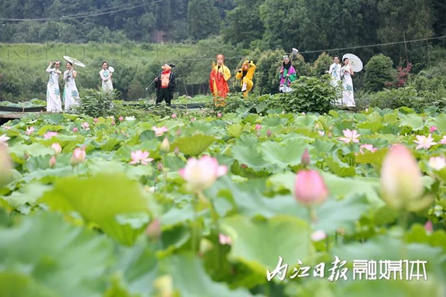 嘿！“唐僧師徒”來內(nèi)江遇上了“荷花仙子”(圖2)