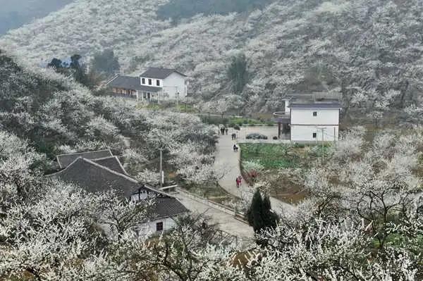 正在公示中！筠連春風村入選二批全國鄉(xiāng)村旅游重點村(圖3)