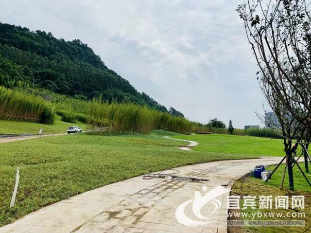460畝！宜賓這個(gè)公園力爭(zhēng)國(guó)慶前達(dá)到開園條件！