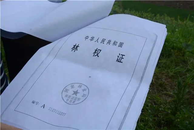 江陽法院巡回審判：林地里走來“親切法官”！(圖2)