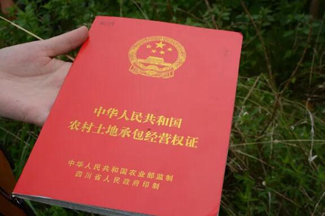 江陽法院巡回審判：林地里走來“親切法官”！(圖1)
