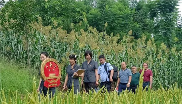 江陽法院巡回審判：林地里走來“親切法官”！(圖3)