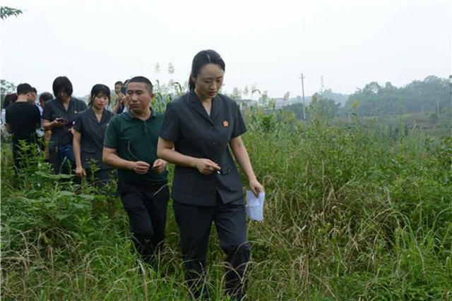 江陽法院巡回審判：林地里走來“親切法官”！(圖4)