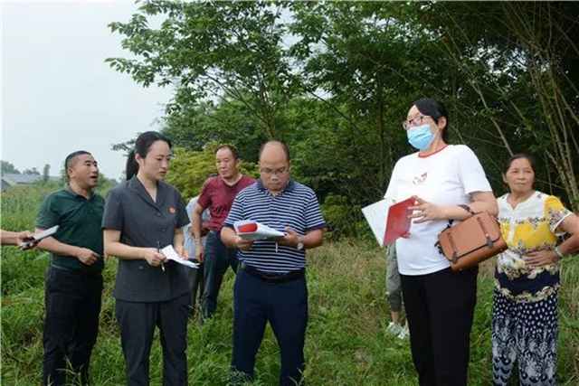 江陽法院巡回審判：林地里走來“親切法官”！(圖5)