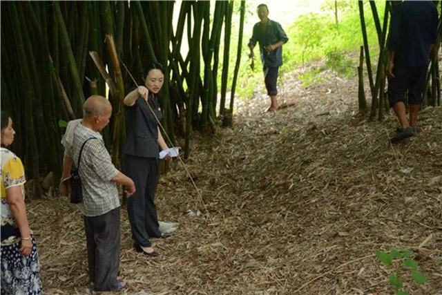 江陽法院巡回審判：林地里走來“親切法官”！(圖6)