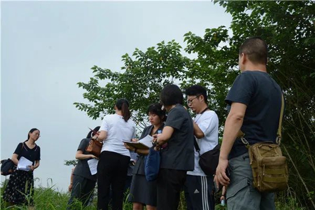 江陽法院巡回審判：林地里走來“親切法官”！(圖7)