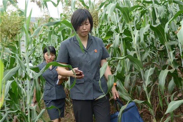 江陽法院巡回審判：林地里走來“親切法官”！(圖16)