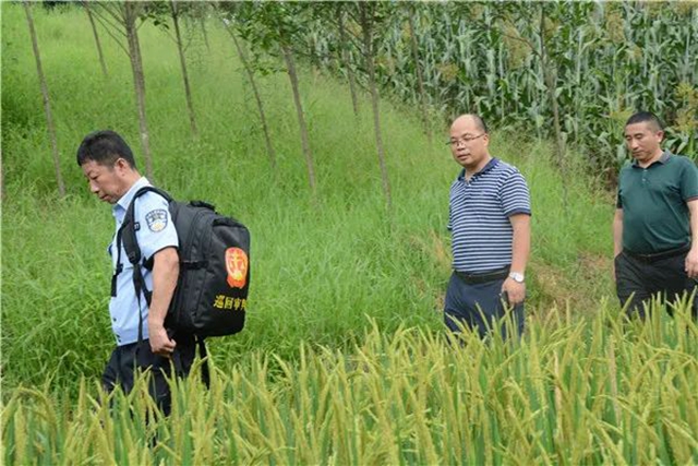 江陽法院巡回審判：林地里走來“親切法官”！(圖15)
