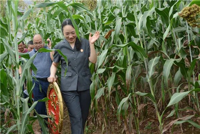 江陽法院巡回審判：林地里走來“親切法官”！(圖14)