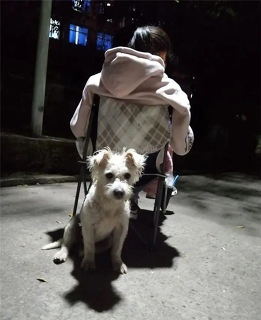 內(nèi)江這所高校驚現(xiàn)一“神秘”女生寢室，6女生同時(shí)考上研究生！(圖5)