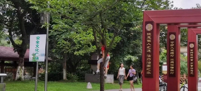 事關(guān)所有宜賓人！全城征集這些照片和視頻，還有錢……(圖13)