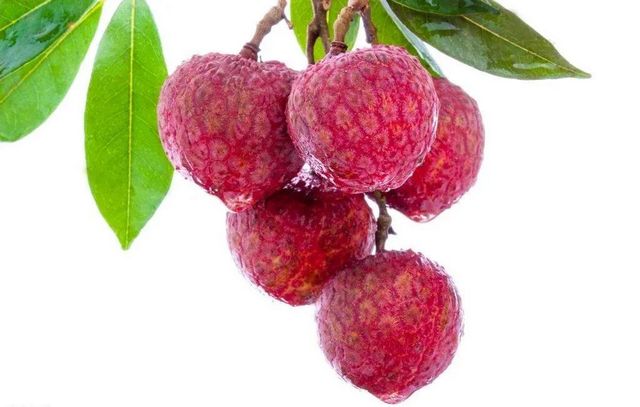 【分享】荔枝吃到飽，結(jié)果……