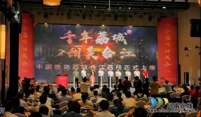 荔枝紅了|官宣！合江荔枝正式上市