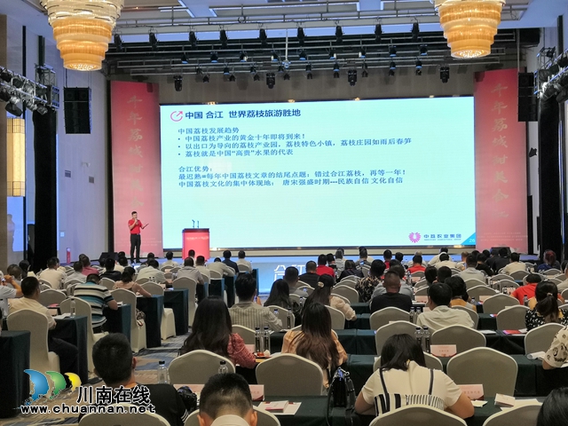 荔枝紅了|官宣！合江荔枝正式上市(圖4)