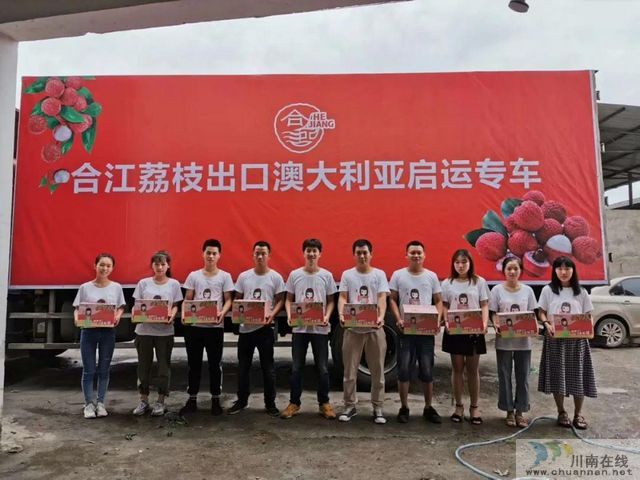 荔枝紅了！2020年合江荔枝采摘儀式在百年荔枝林舉行(圖8)
