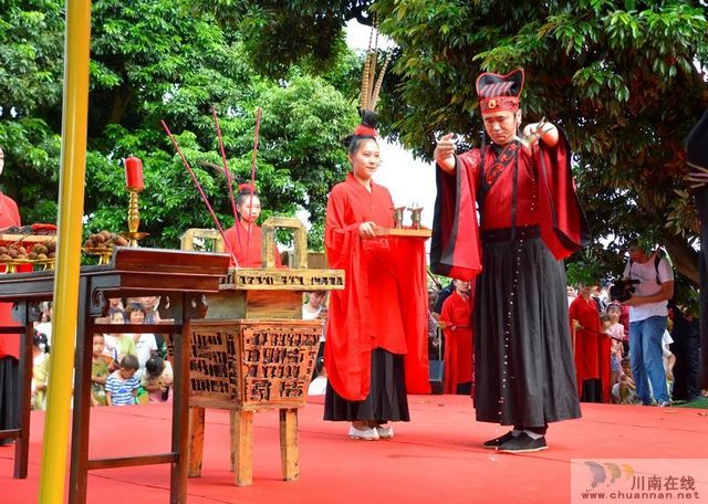 荔枝紅了！2020年合江荔枝采摘儀式在百年荔枝林舉行(圖5)