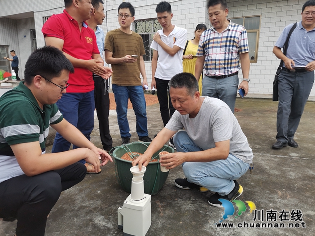 產(chǎn)值超2億！ 瀘縣10.2萬畝釀酒高粱豐收了(圖3)