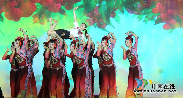 2020年四川花卉（果類）生態(tài)旅游節(jié)分會場暨第29屆合江荔枝節(jié)開幕(圖8)