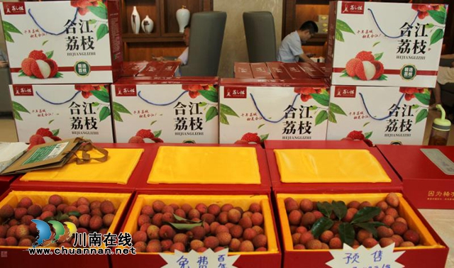 2020年四川花卉（果類）生態(tài)旅游節(jié)分會場暨第29屆合江荔枝節(jié)開幕(圖13)