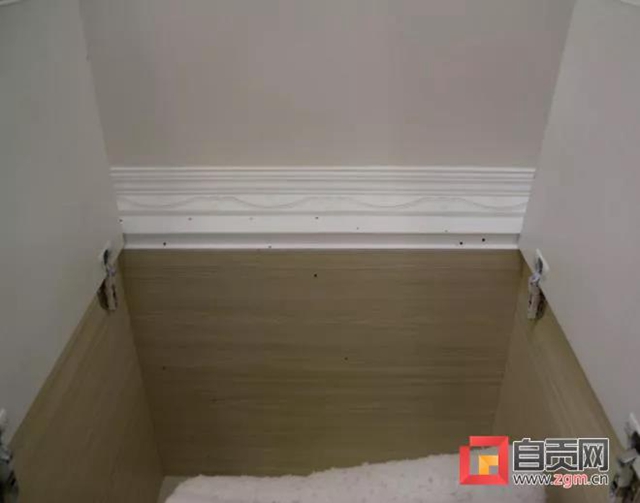 破壞力極強！自貢富順首次發(fā)現(xiàn)這種有害生物(圖3)