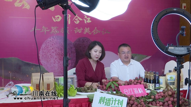 電商直播激發(fā)銷售潛力，合江荔枝綻放別樣“火紅”！(圖1)