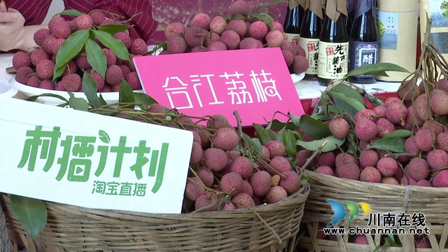電商直播激發(fā)銷售潛力，合江荔枝綻放別樣“火紅”！(圖2)