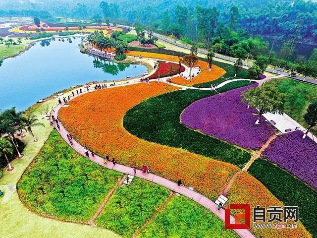 一起去爬山嗎？自貢主城區(qū)又添一條登山步道(圖2)