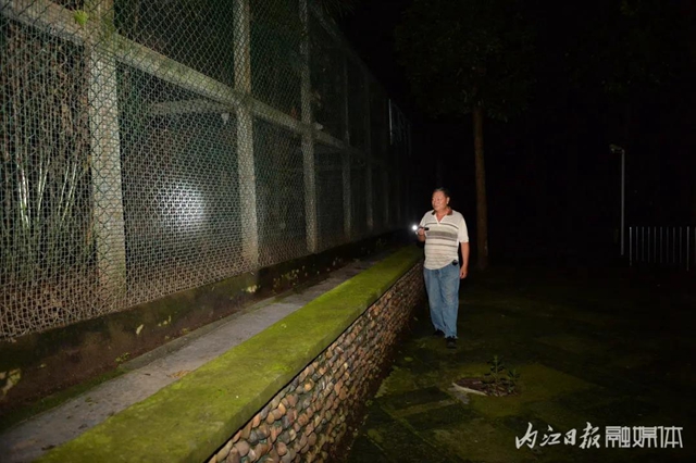18年與虎為伴！內(nèi)江這個專職“鏟屎官”厲害了(圖8)