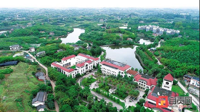 “恐龍研學游 彩燈璀璨夜”精品線路推薦二：仲夏·采摘休閑之旅(圖5)