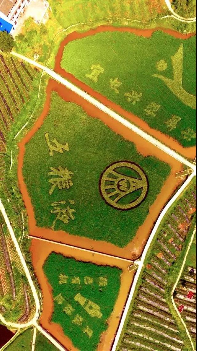 建成成渝地區(qū)經(jīng)濟(jì)副中心，宜賓明確10項(xiàng)重點(diǎn)任務(wù)！涉及這些內(nèi)容(圖7)