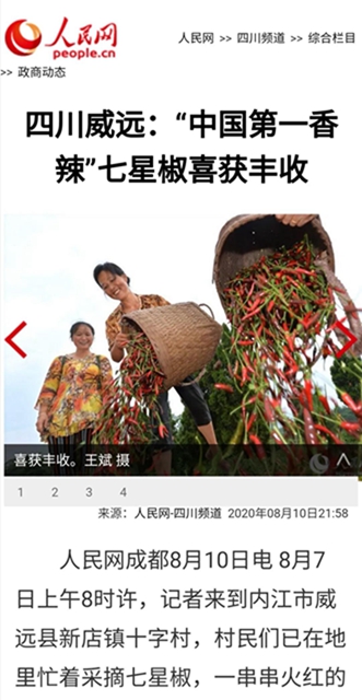 辣絲辣絲！內(nèi)江產(chǎn)的這海椒“辣”到日本去了(圖2)