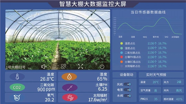 內(nèi)江高科技！一部手機(jī)“種”莊稼