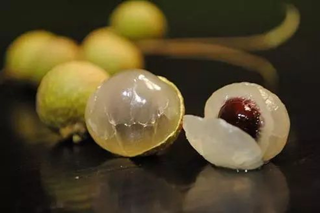 吃貨們再等等！瀘州桂圓即將大量上市(圖7)