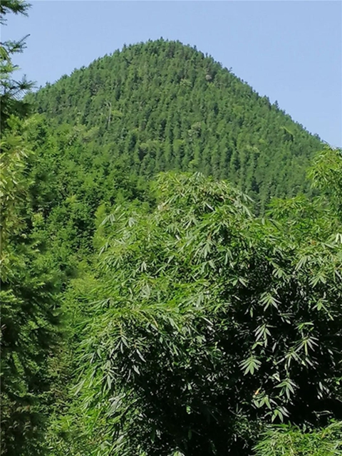 隆昌深山藏了一個(gè)“長壽之鄉(xiāng)”，帶你領(lǐng)略那些秘密與傳說！(圖1)