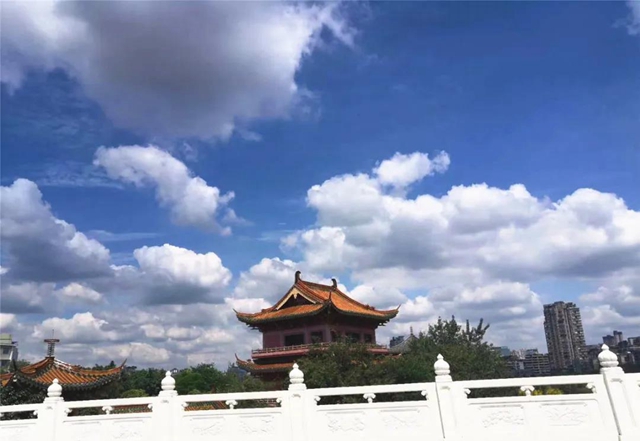 再次上榜！“內(nèi)江藍(lán)”入圍全國(guó)前20強(qiáng)(圖5)