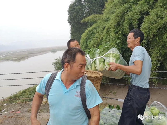 點贊！宜賓三名大學(xué)生向泥溪捐贈1000斤新鮮蔬菜(圖4)
